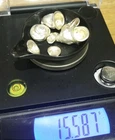 🔥🔥Pure .825 Silver Bullion Scrap Nuggets Shot ❄️❄️15.58 grams/.5ozt