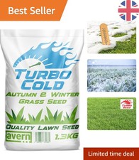 Turbo Cold Winter Grass Seed 1.3KG - Dog Friendly & Hard Wearing for UK Gardens 24.61 per kilo
