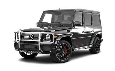 REAL Factory Mercedes Benz Center Cap G63 G550 G Wagon OEM AMG