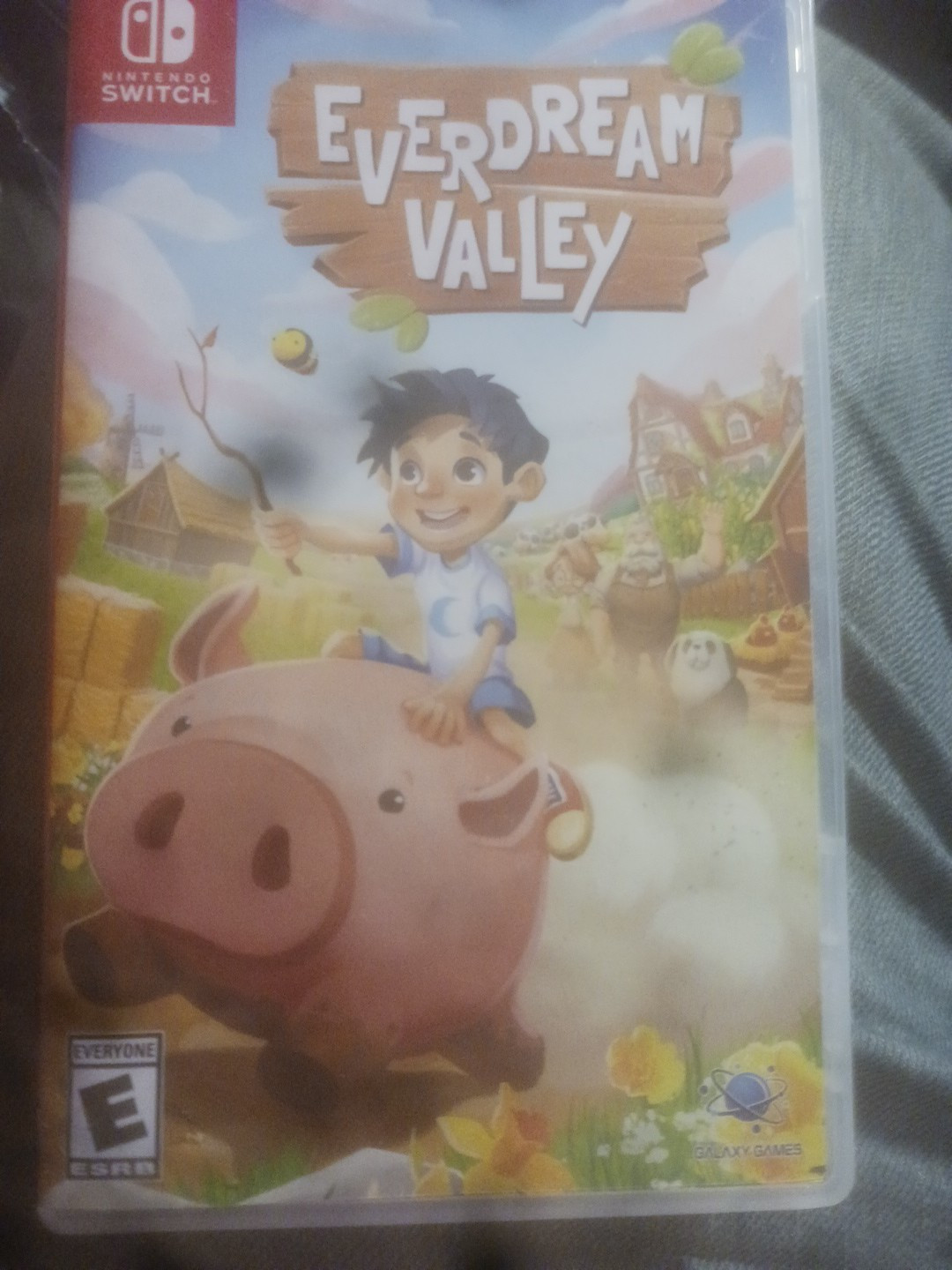 Nintendo switch Galaxy Games Everdream Valley tested and working