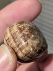 Light Multi-hue Striped Brown Rounded Square Stone — photo 8