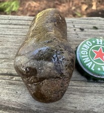 RARE 60g 3D Vertebrate Fossil - Visible Spine, Eye Sockets & Tucked Tail - PNW