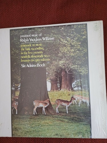 record - Picture 5 of 11