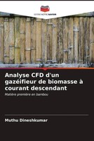Muthu Dineshkumar | Analyse CFD D'un GazéIfieur De Biomasse à Courant Descendant