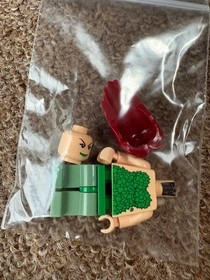 LEGO Batman Arkham Asylum 7785 In 2006 Used Retired Figures Only