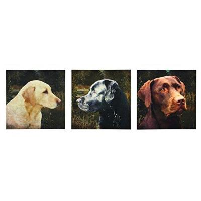 labrador canvas wall art