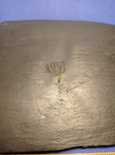 Bundenbach Seelilie crinoid Hunsrückschiefer unbestimmt Devon