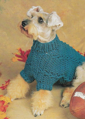 cabled dog sweater pattern