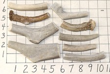 9 Deer Antler Dog Chew Treats