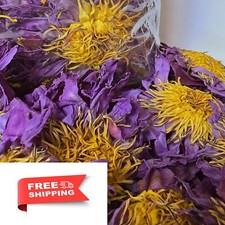 blue lotus,blue lotus flower,blue lotus tea,dream tea,egyptian blue lotus