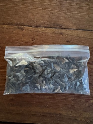 #ad Bag of Venice Florida Fossil Shark Teeth Various Shapes and Colors 4.6 Oz $38.50