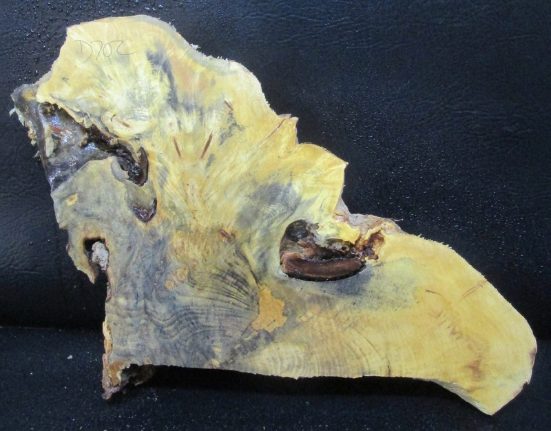 Buckeye wood slab  #D702  14 1/4" x 12" x 2 1/4"