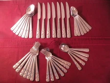 39 Pieces Cambridge Zinnia Sand Stainless Steel Flatware Spoons Forks Knives