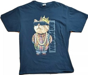 dog bite antibiotic prophylaxis