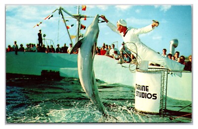 Vintage 1960s - Marineland Marine Studios - Florida Postcard (UnPosted)