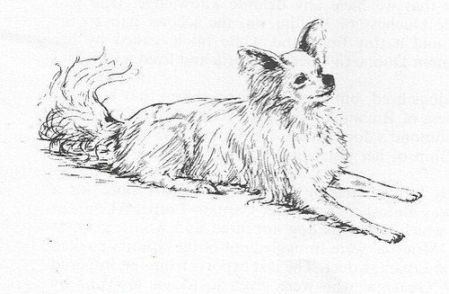 Papillon #3 - CUSTOM MATTED - 1963 Vintage Dog Art Print 0507 CLD