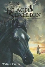 Son of the Black Stallion - Paperback By Farley, Walter - GOOD