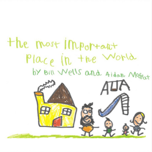 Bill Wells & Aidan Moffat The Most Important Place in the World (CD) Album