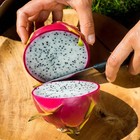 30 Organic Dragon Fruit Cuttings 9 inches long check The Description  — photo 4