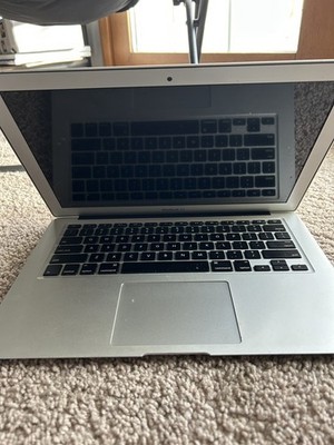 Apple 13
