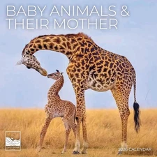Baby Animals and Their Mother 2026 Wall Calendar | 12" X 24" Open | Animal Photo