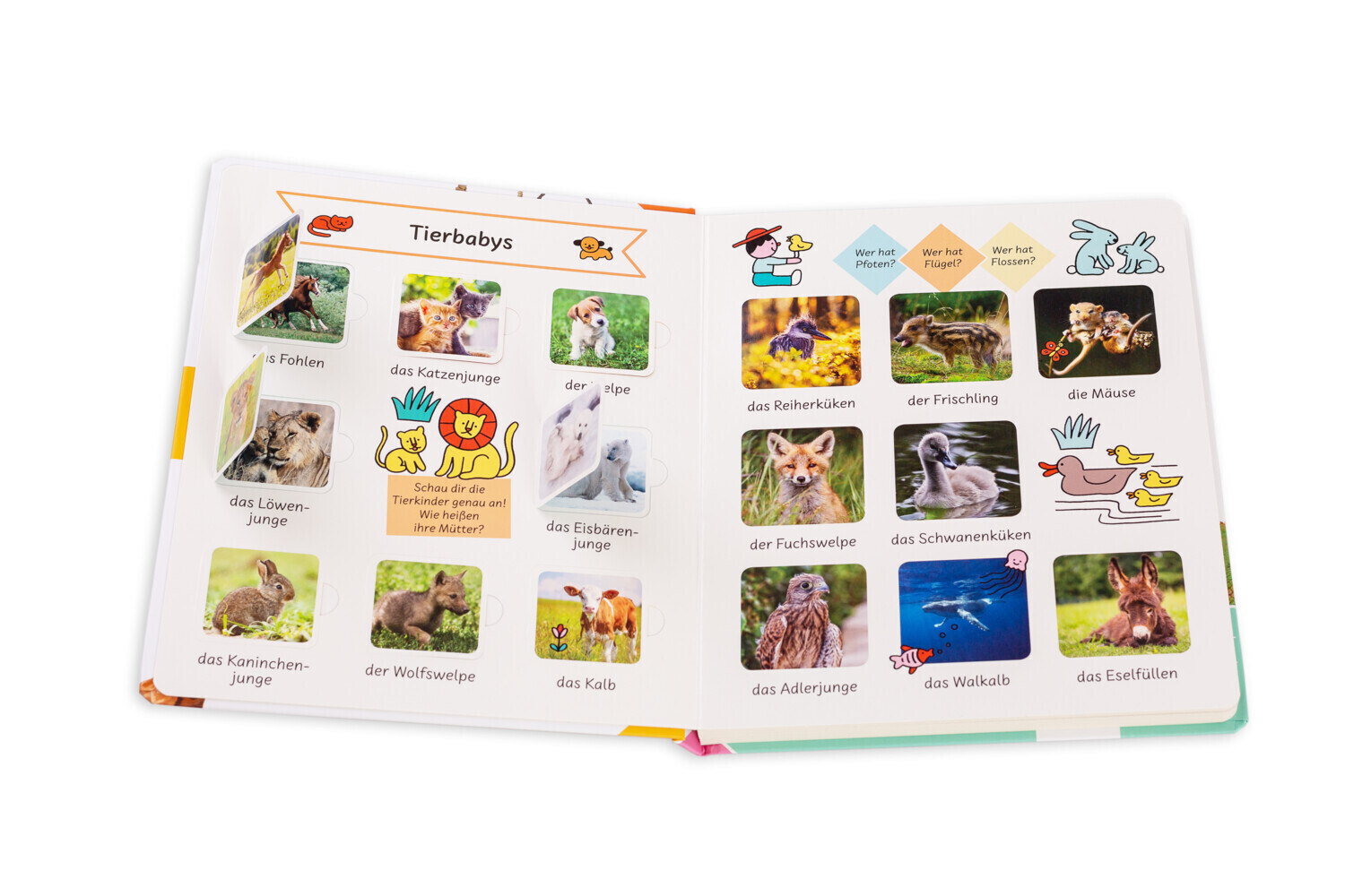 Thumbnail - Mein Erstes Großes Tierbuch | Stefanie Böhm | Buch | 20 S. | Deutsch |