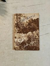 Some Familiar Wild Flowers Paperback Compiled By Magistrate James Edmund Jones, 