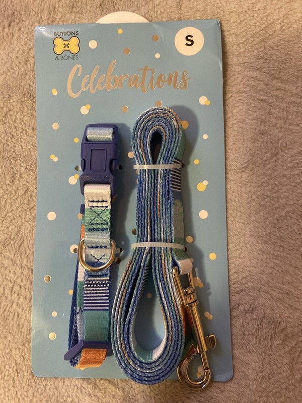 Dog Collar & Leash Set