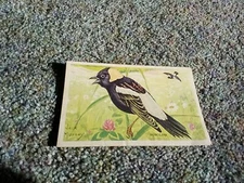 Vintage Loma Linda Food Bird Advertising Cereal Trade Card Bobolink