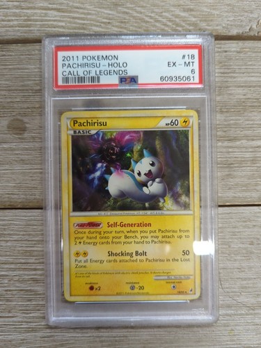 Pachirisu graded PSA 6 for sale on eBay