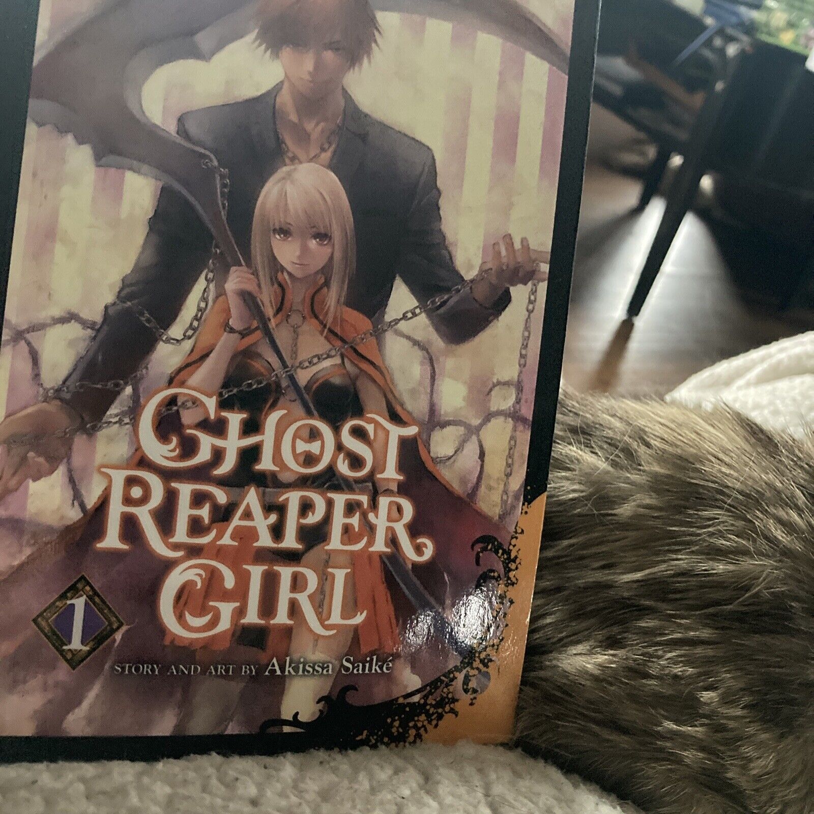  Ghost Reaper Girl, Vol. 2 (2): 9781974734078: Saiké, Akissa:  Books