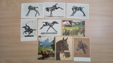 28 (darunter 8 ungebrauchte/ nicht gelaufene) Ansichtskarten mit Motiv "Pferd"!