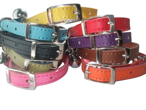 Cat collars with buckle and cheap elastic