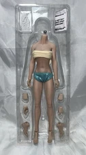 TBLeague Phicen 1/6 Scale Super-Flexible Female Seamless Medium Bust (No Box)