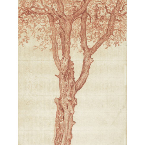 De Valenciennes Study Tree Luxembourg Gardens Drawing Huge Wall Art Poster Print - Picture 1 of 5
