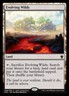 Evolving Wilds - Tarkir Dragonfury Promo NM, English MTG Unique & Misc Promos