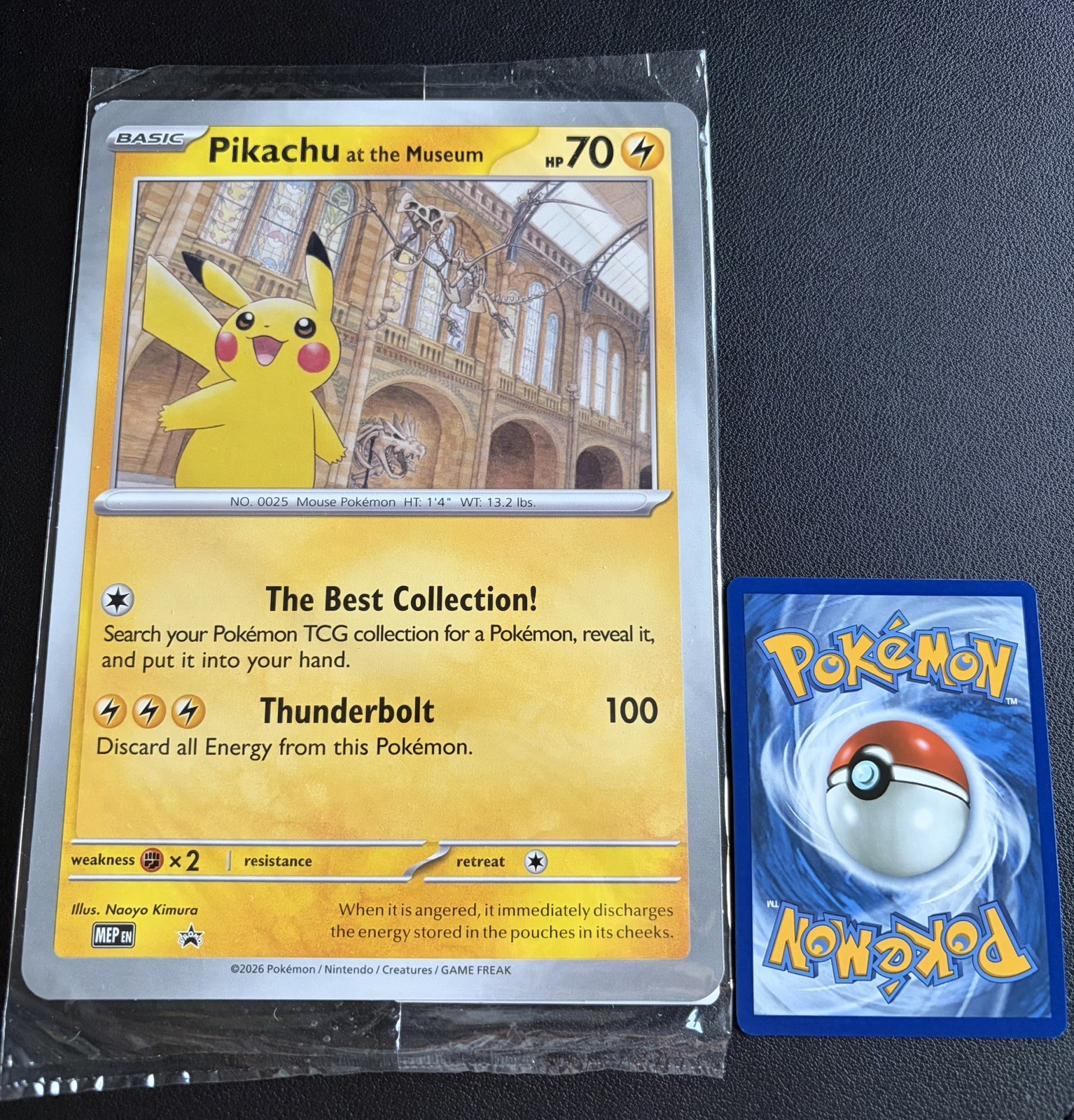 Pokémon TCG: Pikachu at the Museum - Jumbo Promo *New & Sealed*