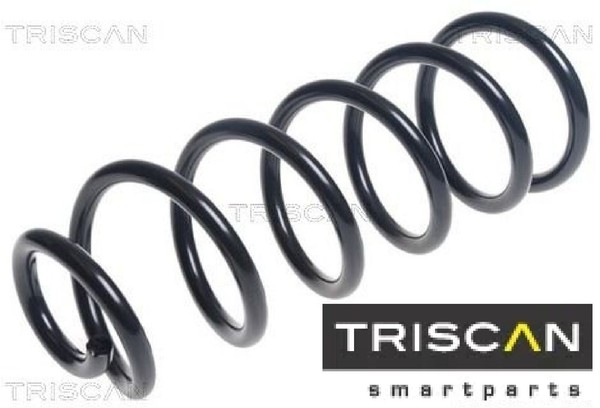 Triscan 875050113 Fahrwerksfeder FüR Mazda-image