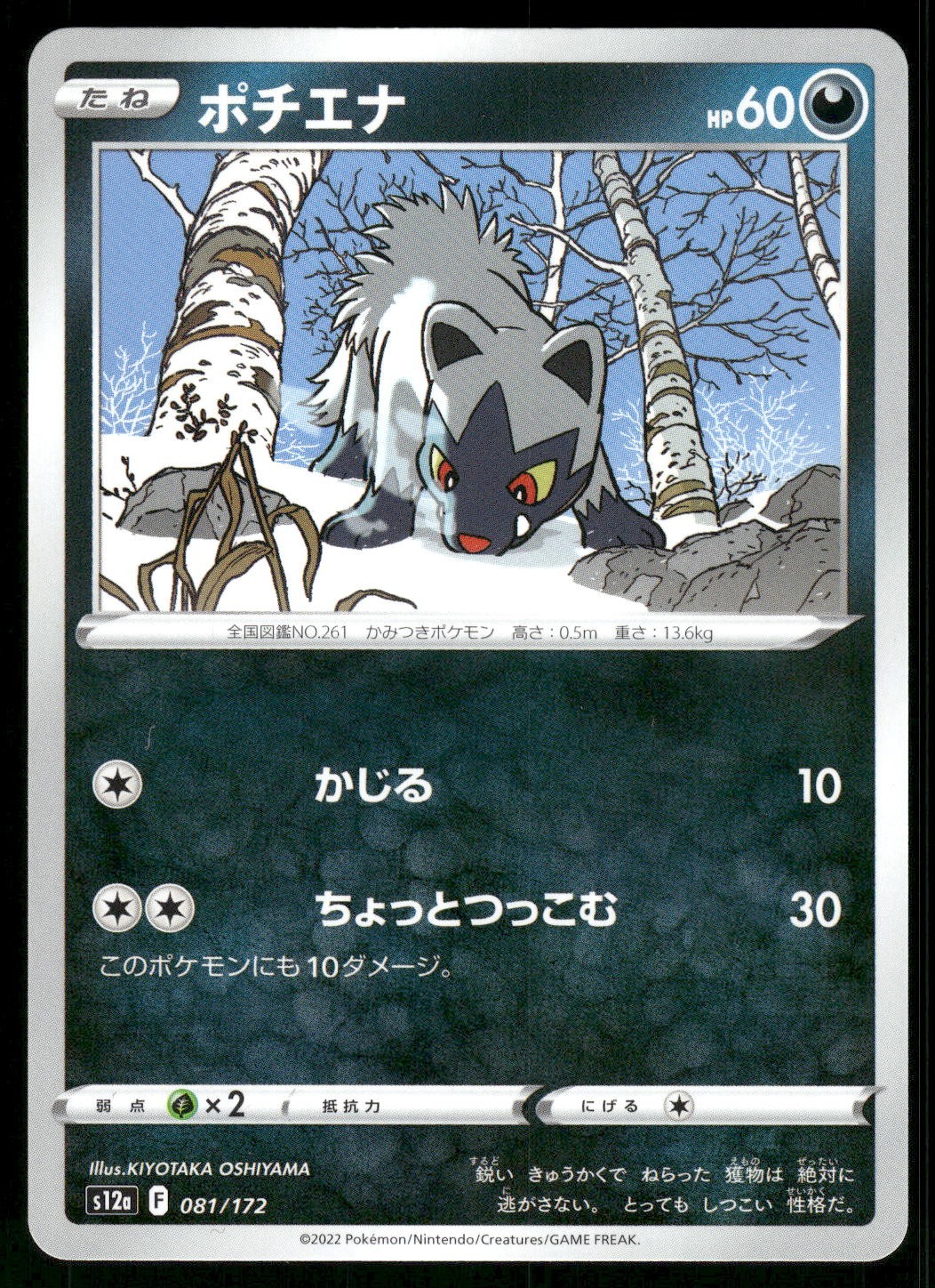 2022 Near Mint Pokemon Poochyena 081/172 VSTAR Universe s12a Japanese