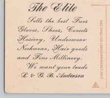 The Elite Furs Gloves Corsets Hosiery L & GB Anderson Gibson Girl  Postcard