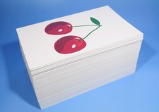 192 Spanish Beginning Vocabulary Flash Cards with Original Artwork