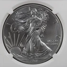 2011-S American Silver Eagle — photo from another recent sale