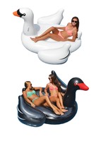 Swimline Giant Inflatable Ride-on 75 Swan Floats, Black + White | 90621 90628 on sale Swimline Giant Inflatable Ride-on 75 Swan Floats, Black + White | 90621 90628 on sale