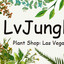 LvJungle Plant Shop Las Vegas
