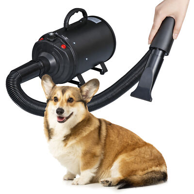 #ad Durable Pet Hair Dryer Quick Blower Heater w 4 Nozzles Dog Cat Grooming Black $61.19