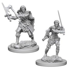 Human Female Barbarian D D Nolzur's Marvelous Miniatures Wizkids WZK72644