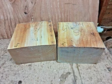Sycamore Wood Turning Bowl Blanks Deep 6 1/2" x 4"
