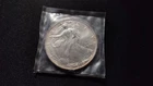 2004 American Silver Eagle 1 oz .999 Fine Silver Dollar Coin Liberty toning