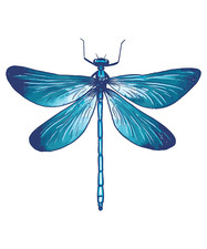 Blue Dragonfly Sticker Decal