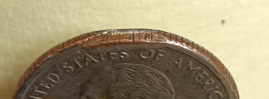 Scopri Il Pesce Ufficiale Dello Stato Del Maine - Foto 12